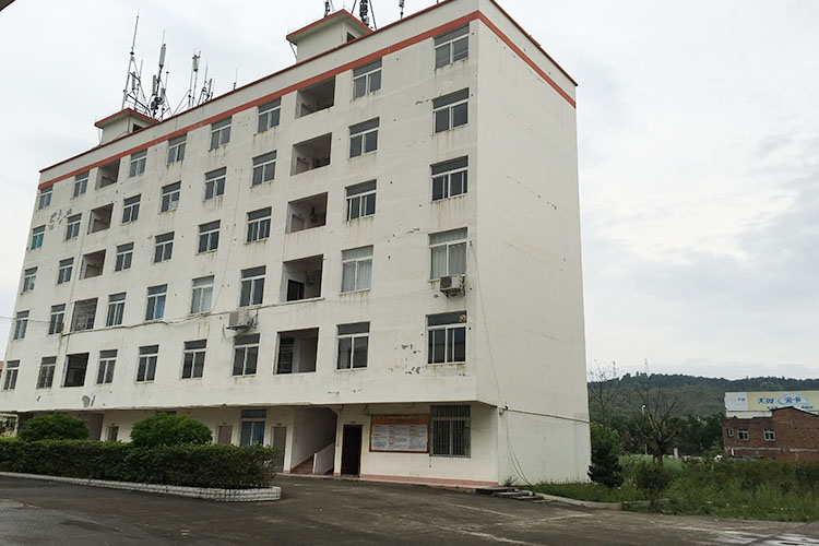 海燕策略斫研究论坛